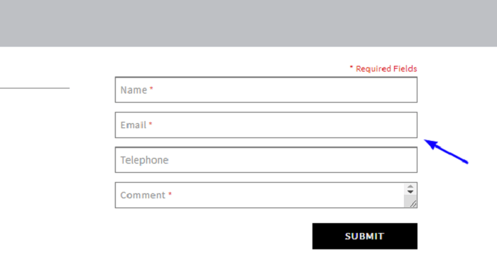 Bebe Stores Customer Feedback Survey form