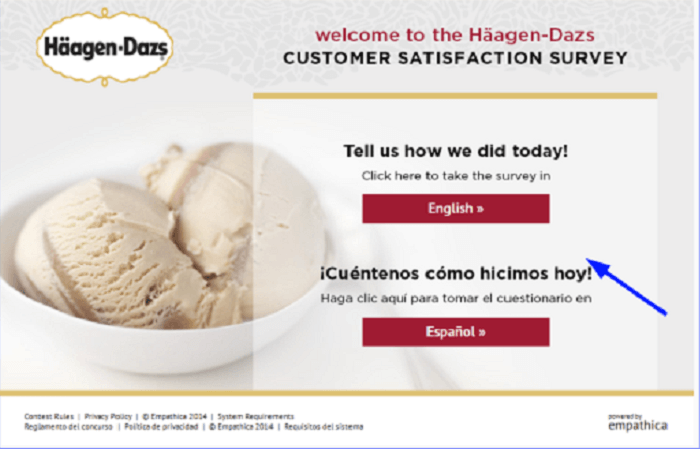 Häagen-Dazs Customer Satisfaction Survey form
